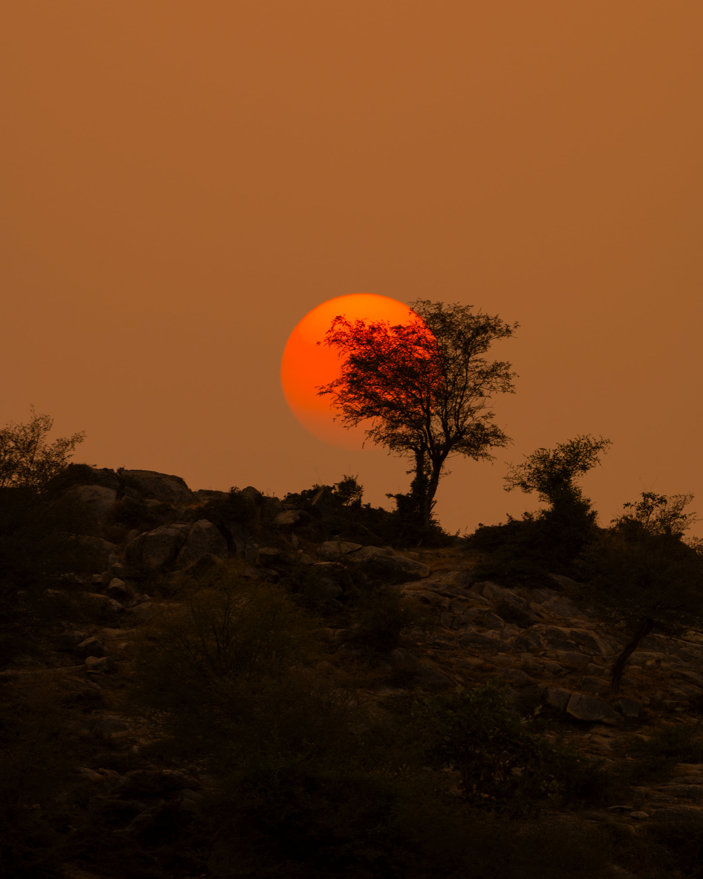 A beautiful sunset with warm lighting