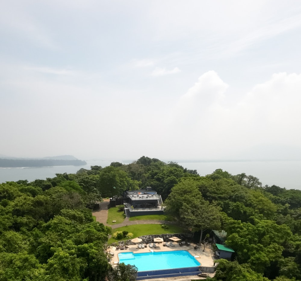 turtle island image