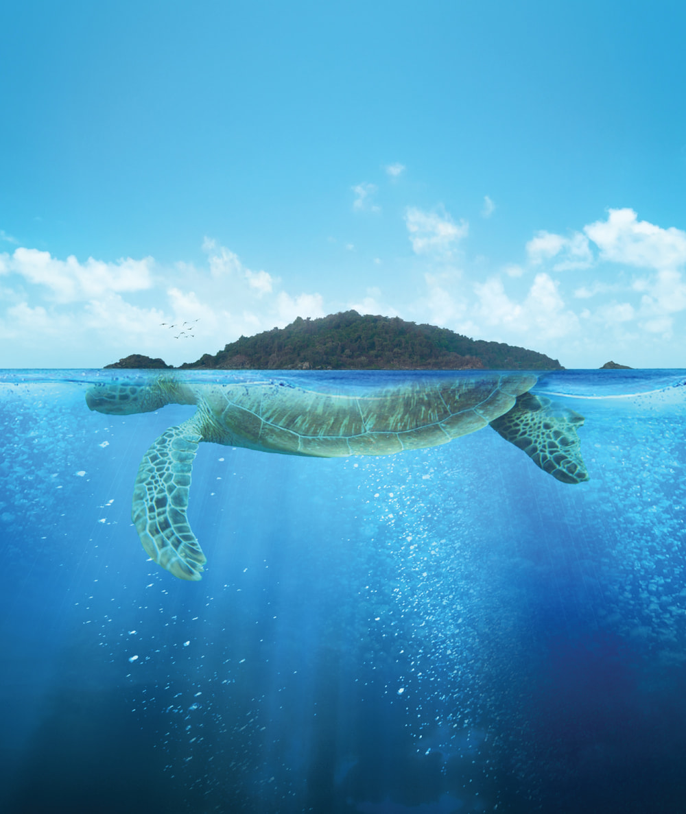 turtle island image