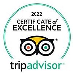 TripAdvisor