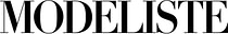 Modelisite logo