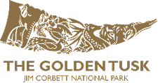 Hotel Logo