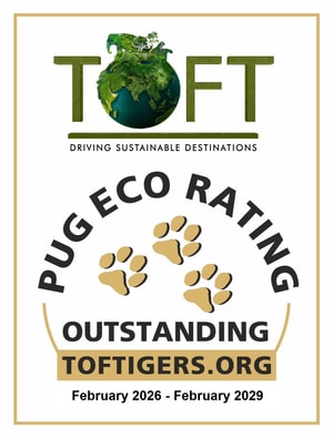 TOFT Driving Sustainable Destinations PUG Eco Rating certificate displaying an Outstanding rating for Forest Escapes, with a validity from February 2026 to February 2029 and featuring the TOFT Tigers website.