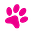 paw