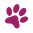 paw