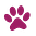 paw