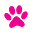 paw