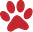 paw