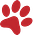 paw