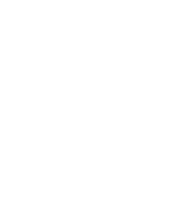 NGV logo  1 -1-removebg-preview 1
