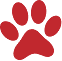 dog-paw