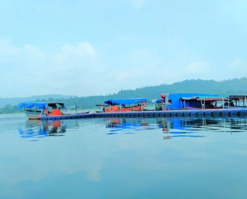 A lake surrounded by trees in the background, which features several boats.