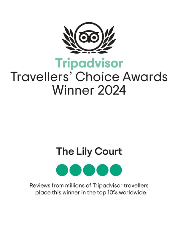 Trip-adviser