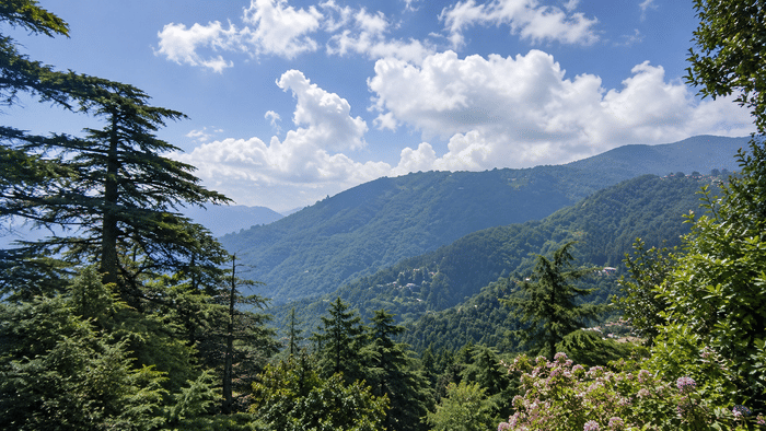 Chail, Himachal Pradesh