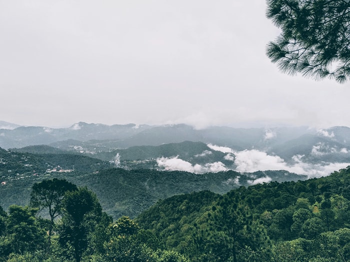 Kasauli, Himachal Pradesh