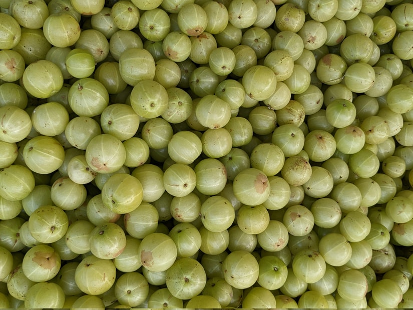 Pale green amla fruits, also called Indian gooseberries, piled closely together