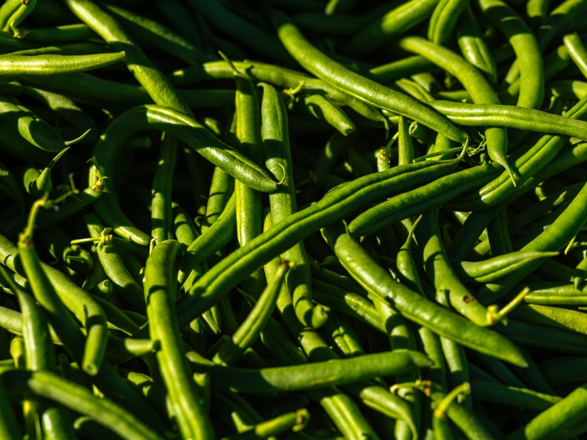 Close-up of a heap of fresh, glossy green bean pods in bright sunlight