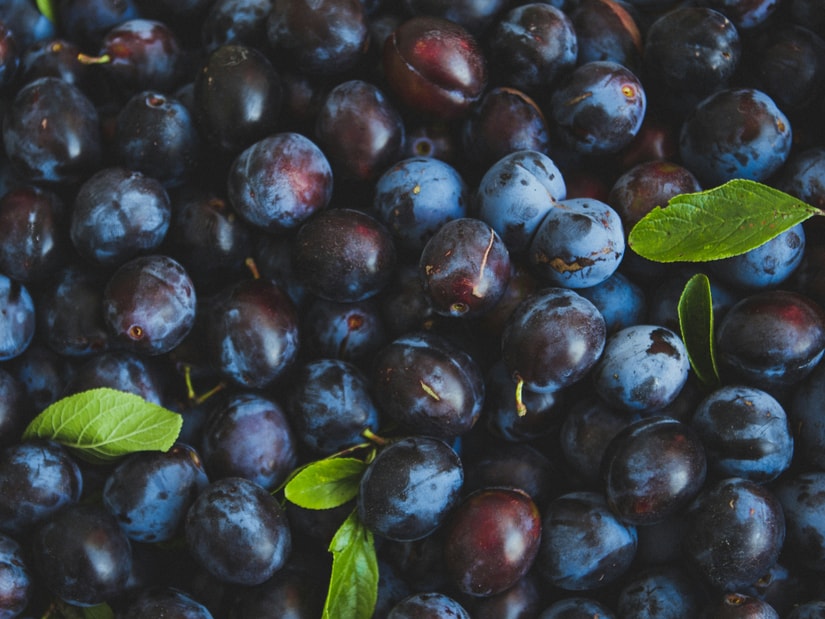 A dense layer of ripe dark purple plums with a few green leaves scattered among them
