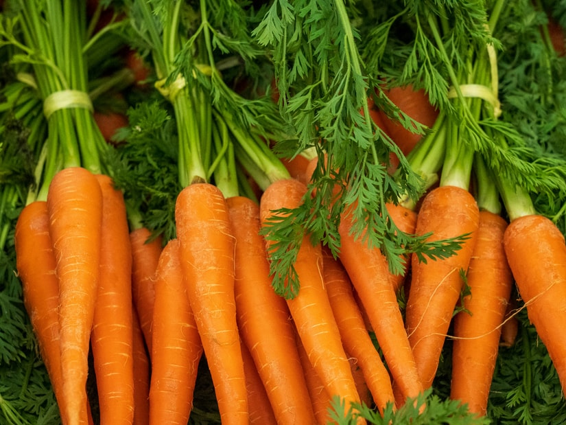 A pile of fresh orange carrots with their feathery green tops still attached