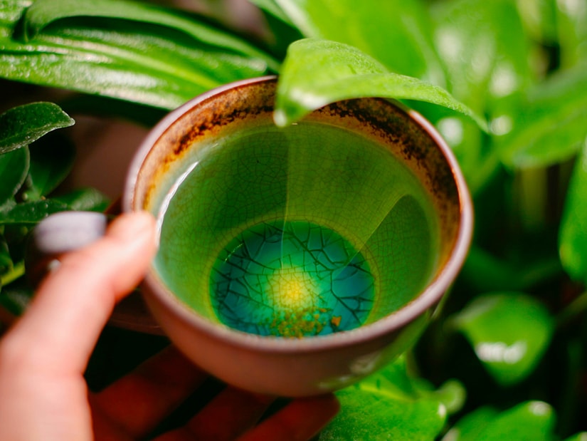 A hand holding a glazed ceramic cup of pale green tea among dark green leaves