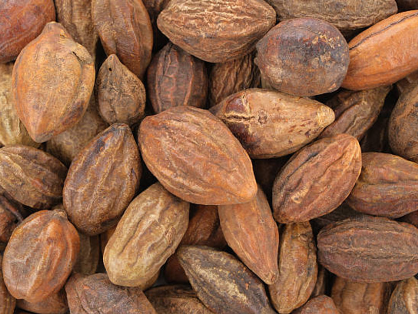Dried brown haritaki fruits piled closely together