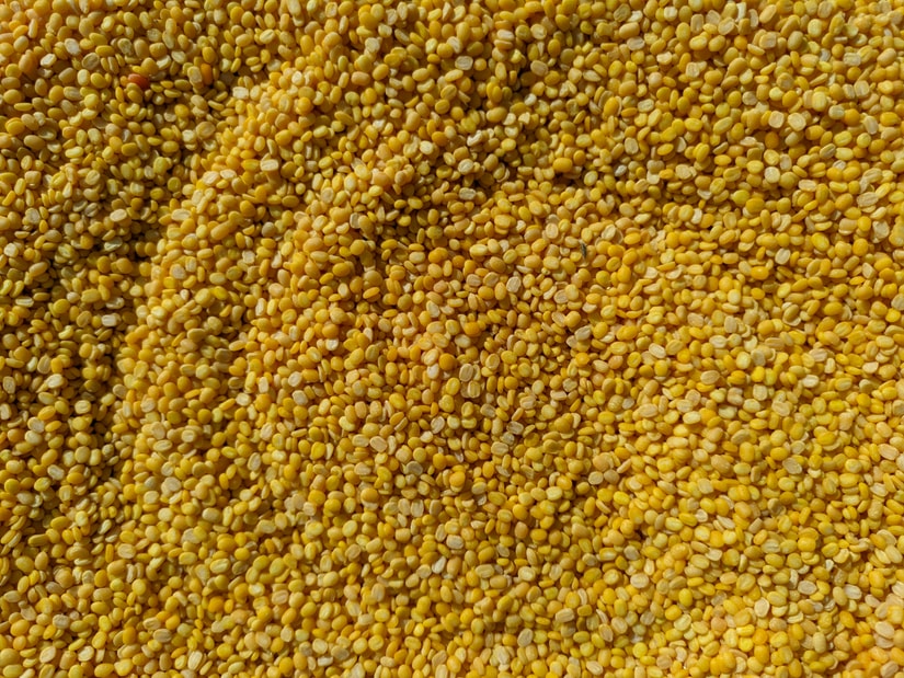A close-up of yellow split moong dal filling the frame