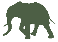 Walking Elephant