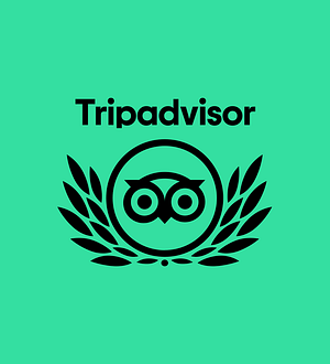trip-advisor