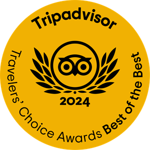 tripadvisor