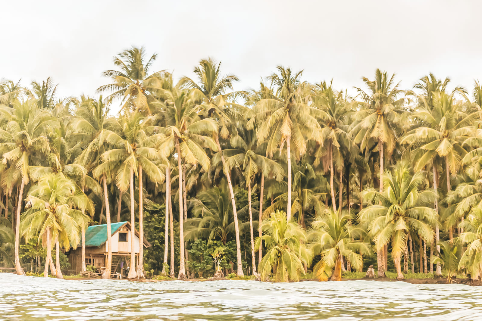 The coconut-palm shoreline of Siargao seen from the water, with a small stilt hut set among the trees
