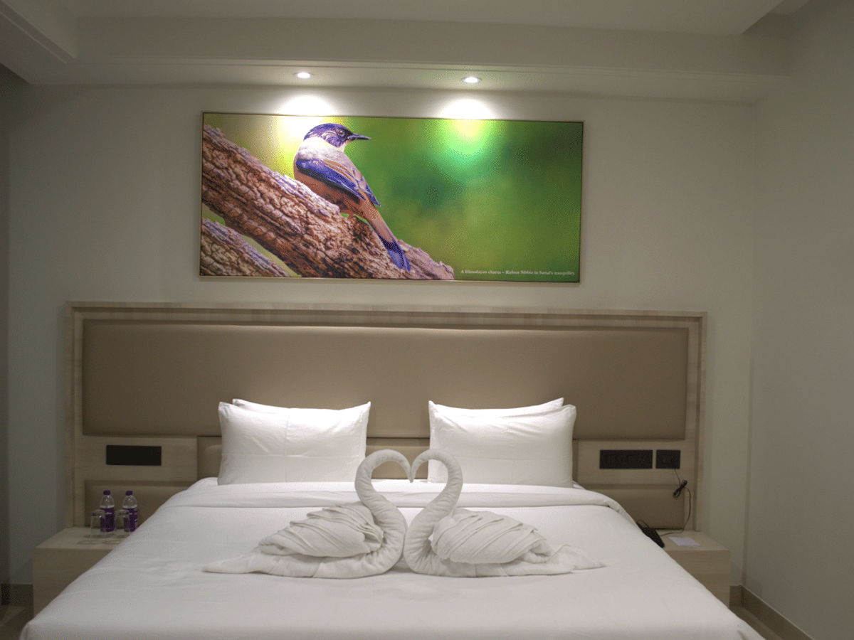 The interior of a Standard Double Room at Signum Tathastu Boutique Hotel, Haridwar