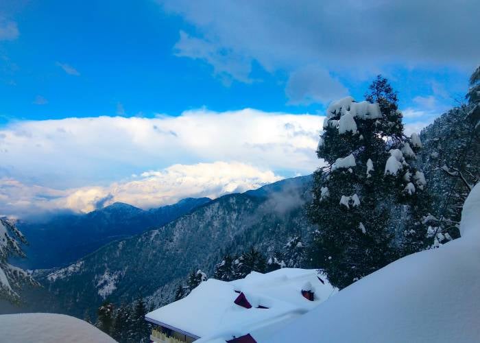 Snow on the deodars and the valley below Hotel Himdhara, Dalhousie