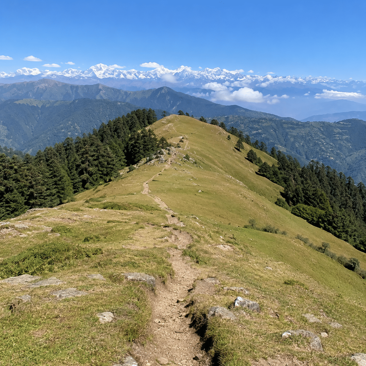 The ridge trail up Dainkund Peak
