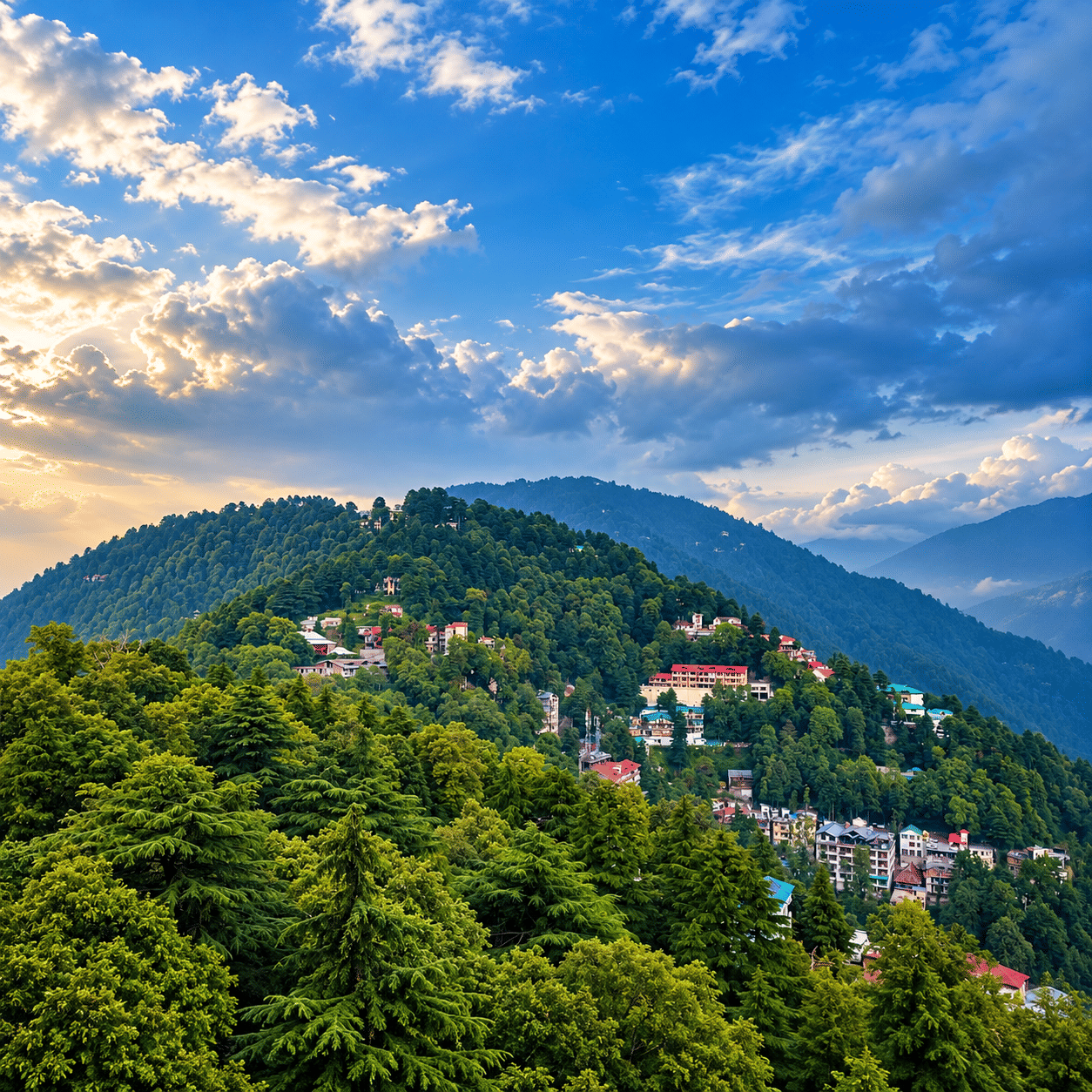 Forested hills around Dalhousie