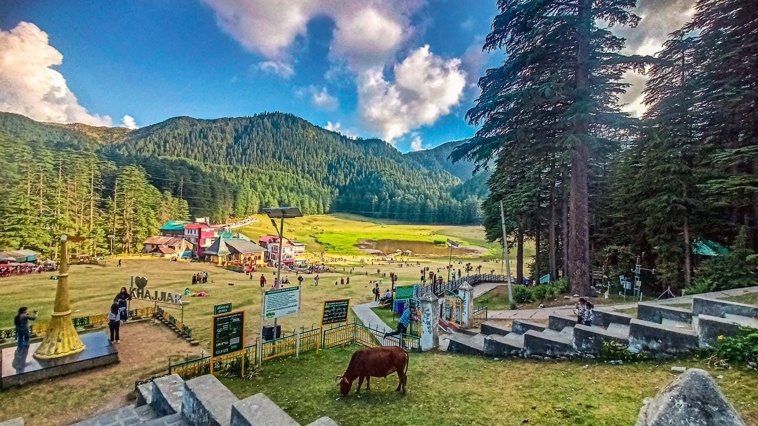 The meadow at Khajjiar ringed by deodar forest