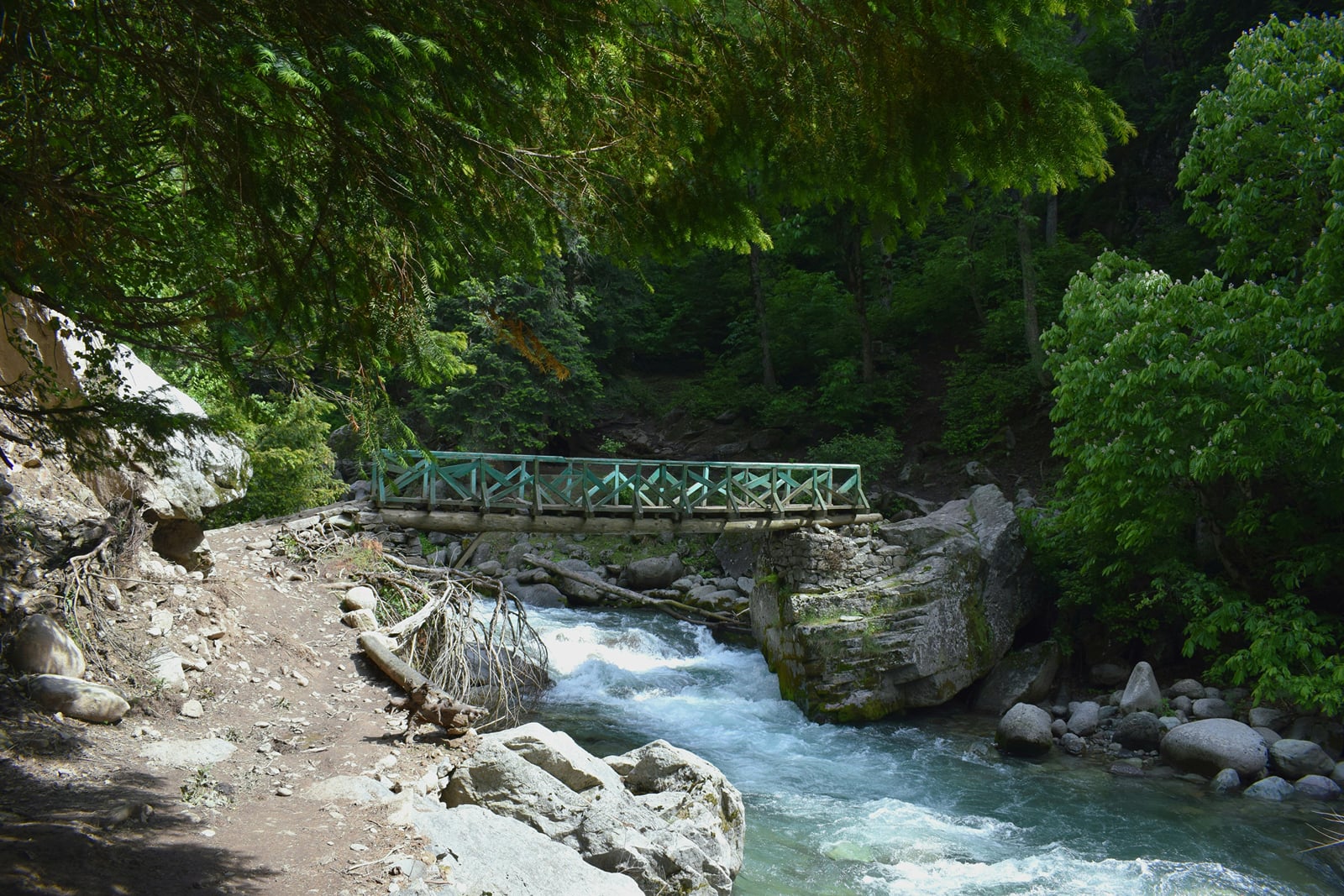 A footbridge over the stream at Panchpula, Dalhousie