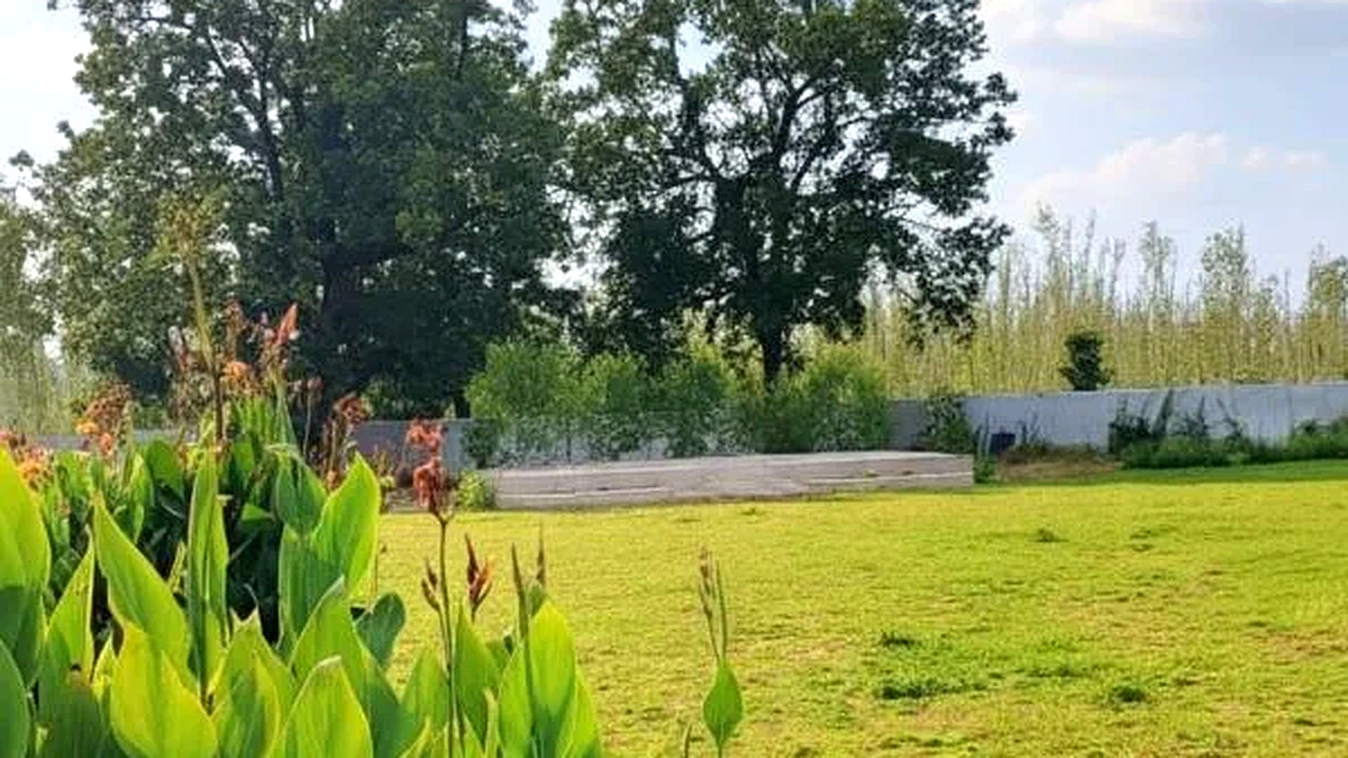 The garden area at Signum Resort, Bandhavgarh