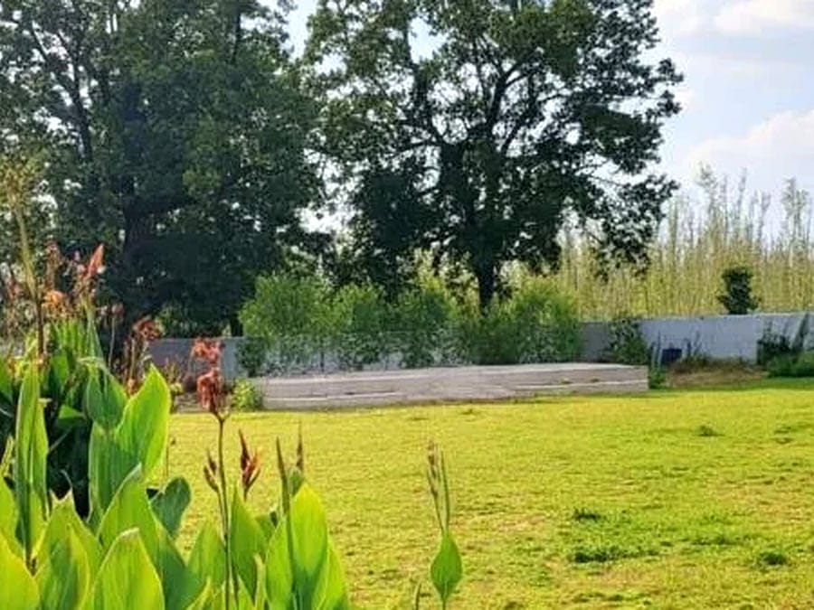 The garden area at Signum Resort, Bandhavgarh