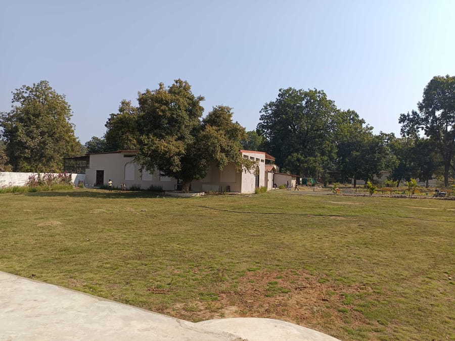 Open lawns at Signum Resort, Bandhavgarh
