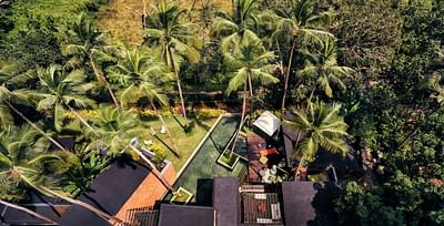 villa in palms