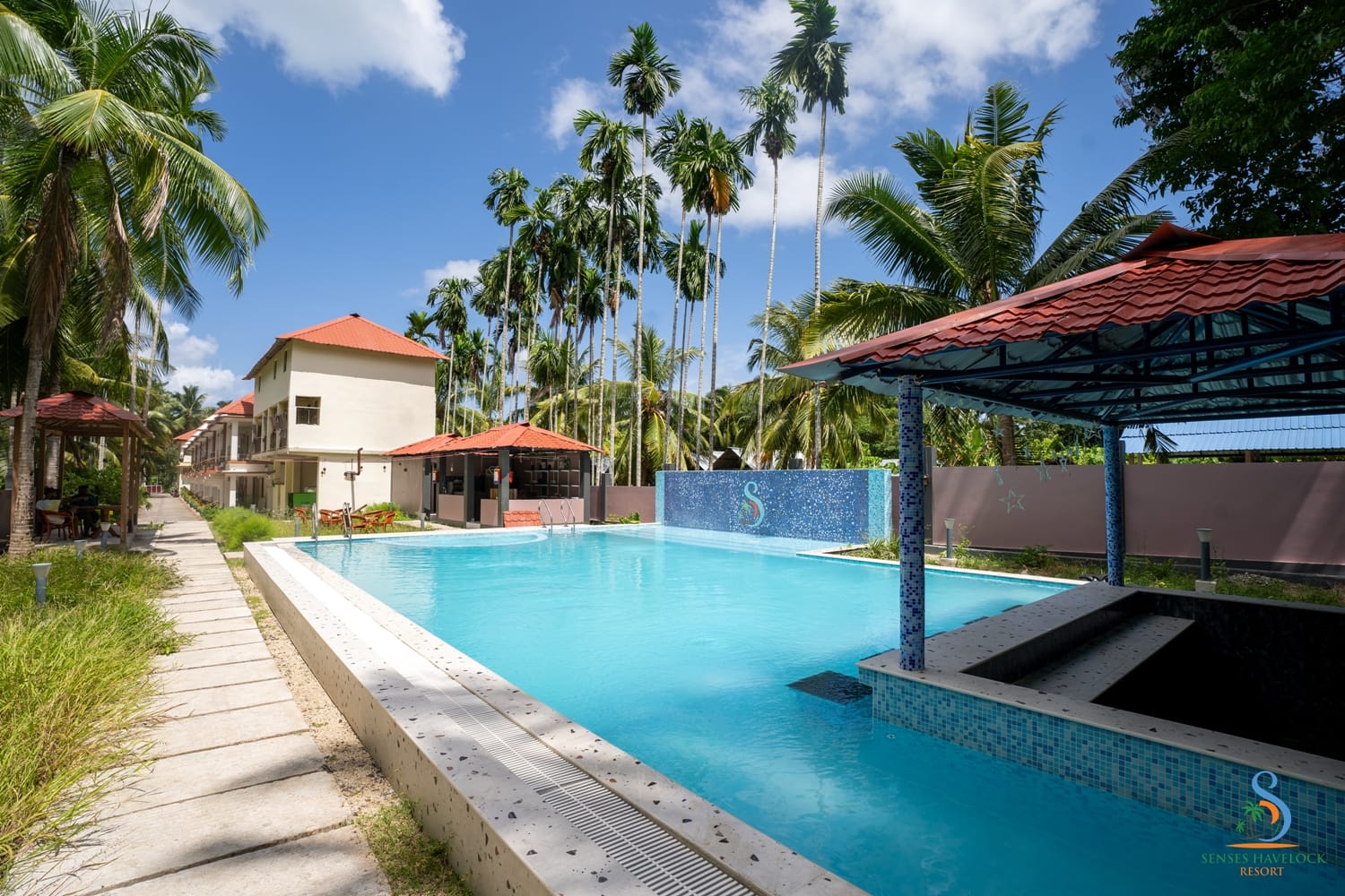 The outdoor pool framed by coconut palms