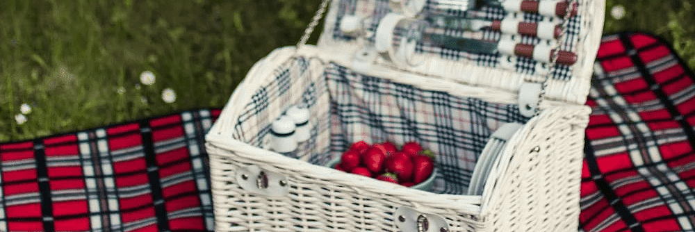 A picnic basket with fruits on top of a blanket