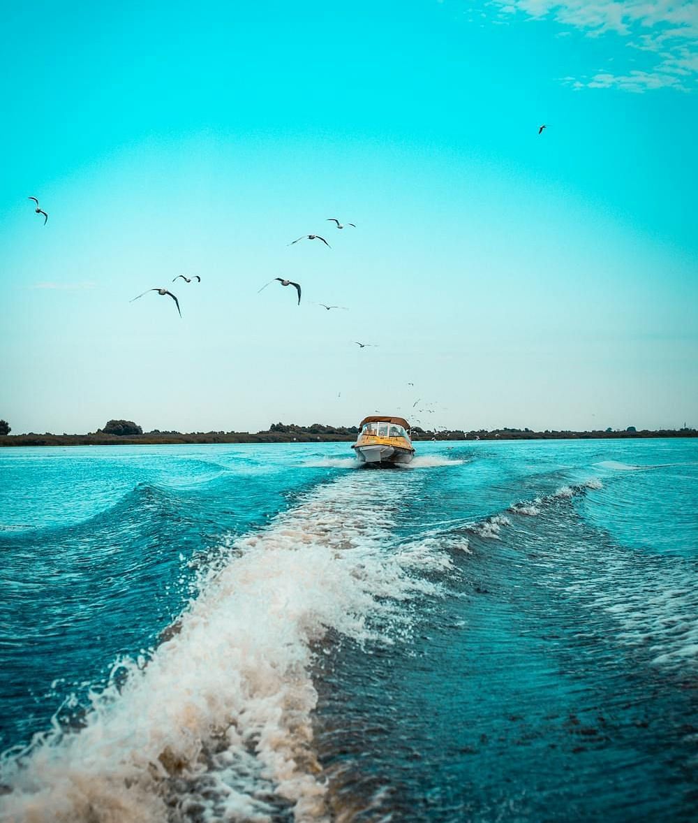 A boat sailing through a water body with birds flying above