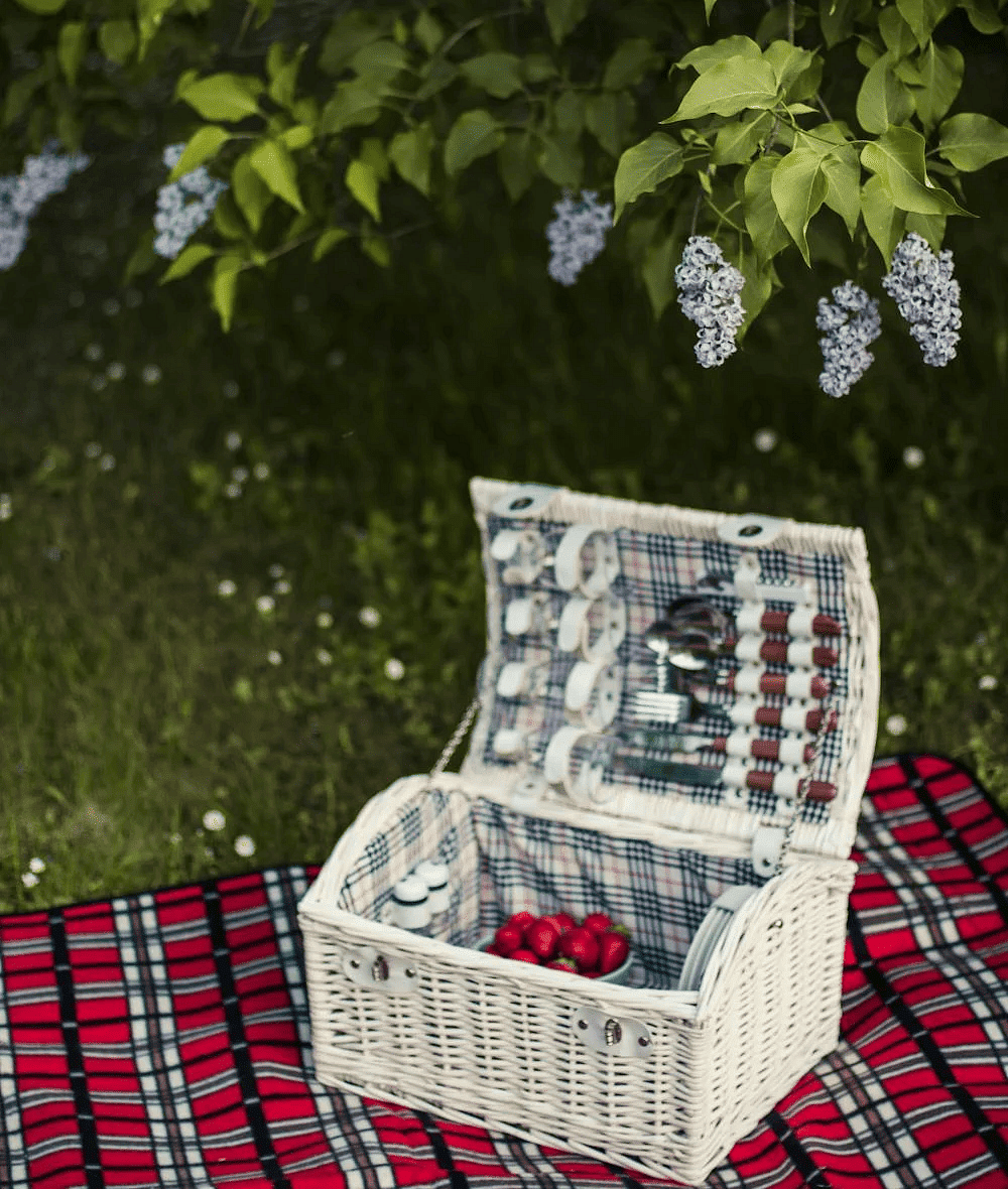 A picnic basket with fruits on top of a blanket