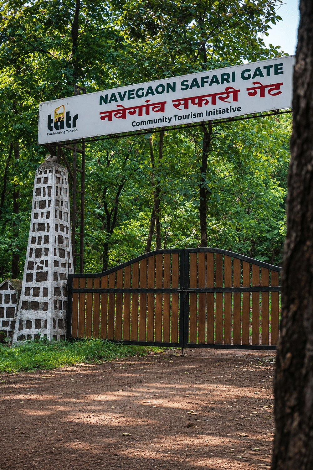 The whitewashed pillar and wooden gates of the Navegaon Safari Gate of Tadoba, set in tall green forest near The Garud Forest
