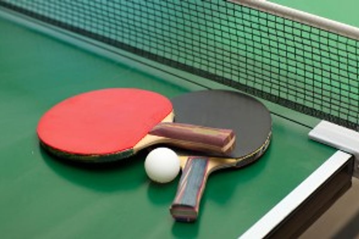 Table tennis paddles and ball on the games table at Ramada by Wyndham Udaipur Resort and Spa