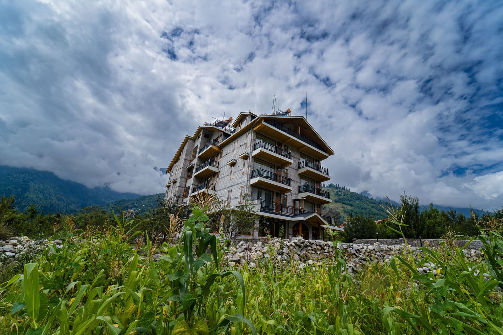 Nazaara Luxe Retreat's facade under a bright sky, apple orchard rows in the foreground, Manali, Himachal Pradesh