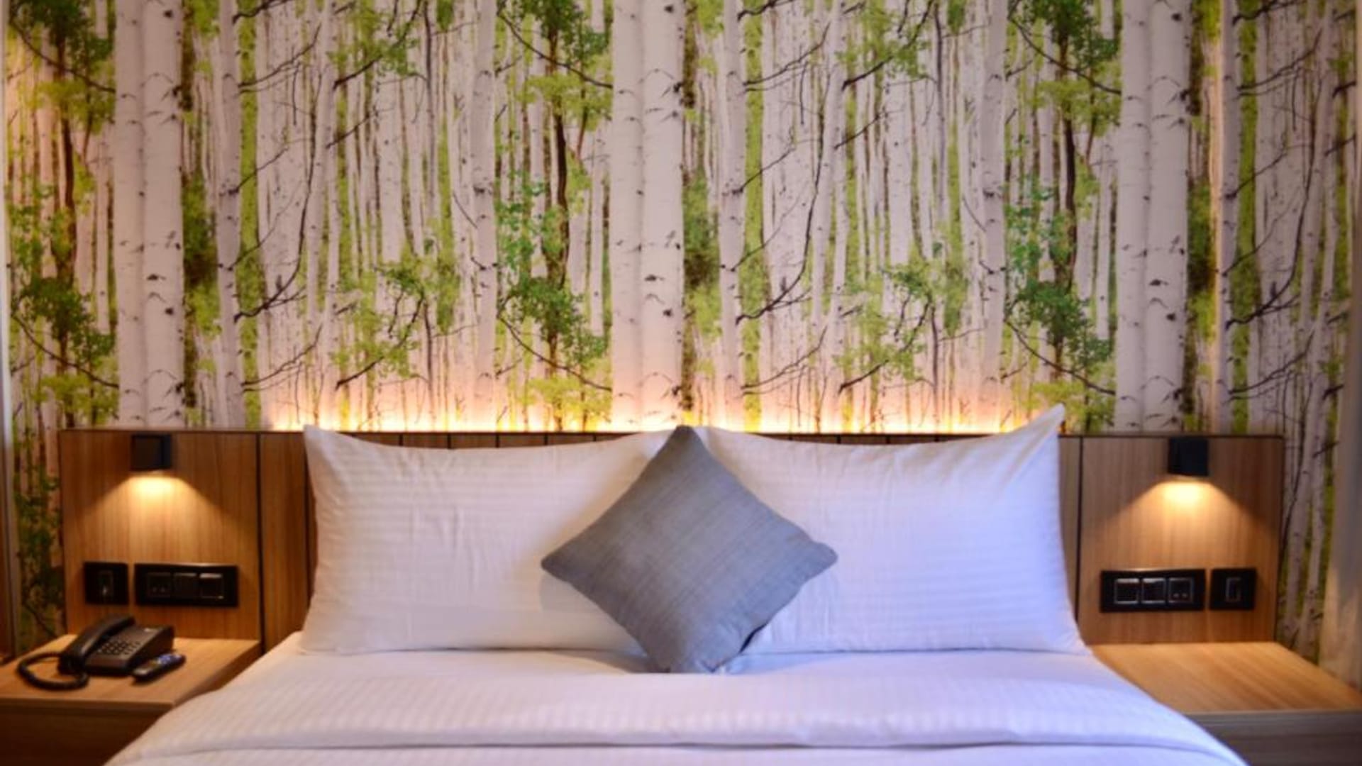 Standard double room at City Lake Hotel, Bengaluru