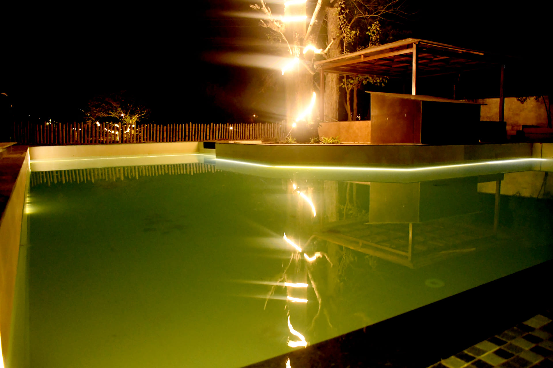 Pool deck and surrounding gardens