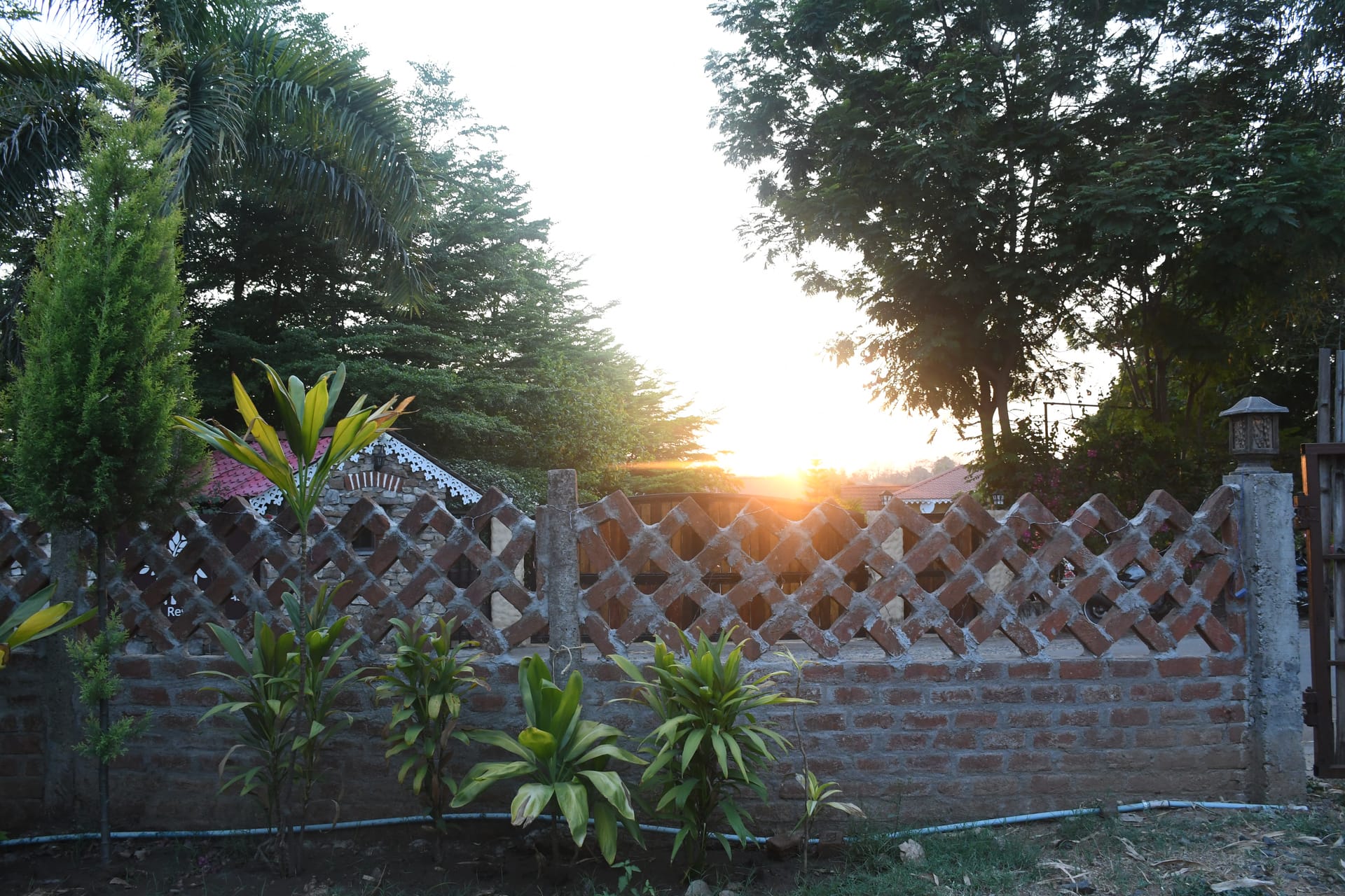 Sunrise over the Satpura forest